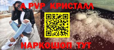 крисы Малгобек